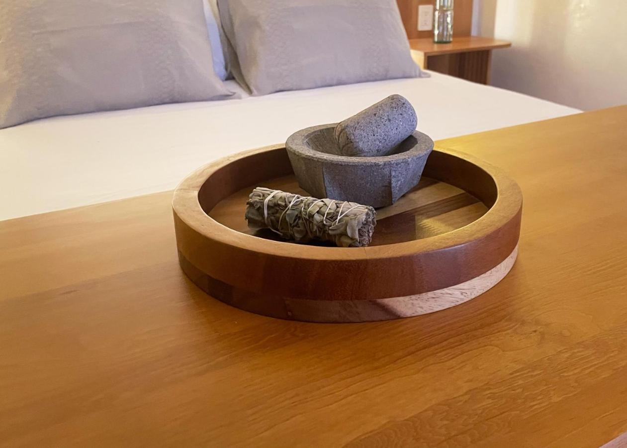 Hotel Materia Oaxaca Ngoại thất bức ảnh