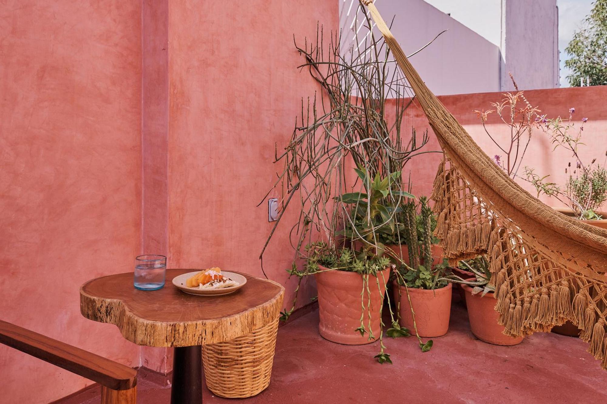 Hotel Materia Oaxaca Ngoại thất bức ảnh