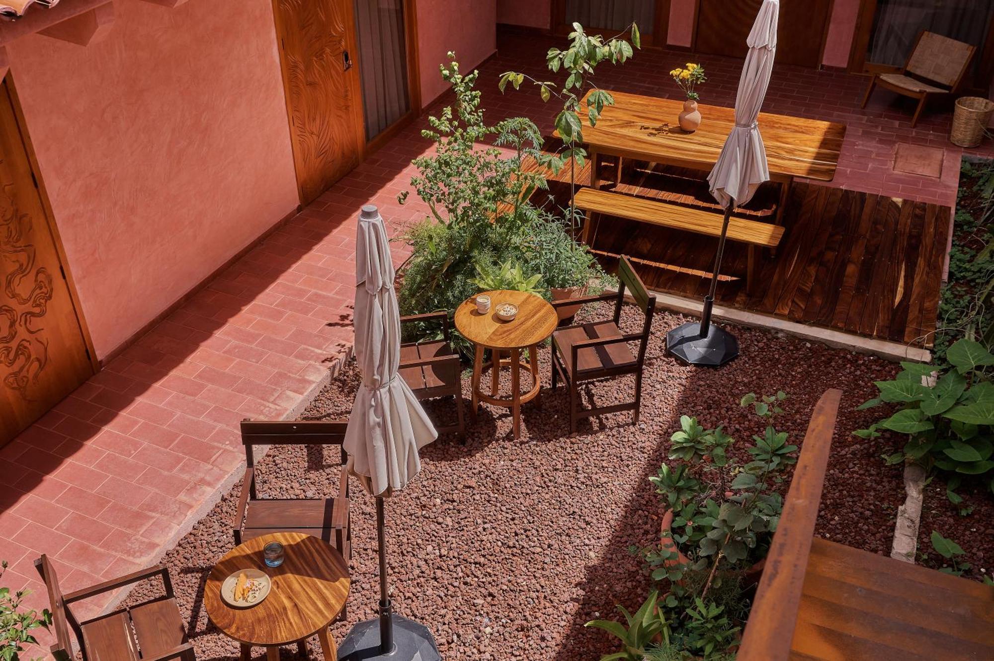 Hotel Materia Oaxaca Ngoại thất bức ảnh